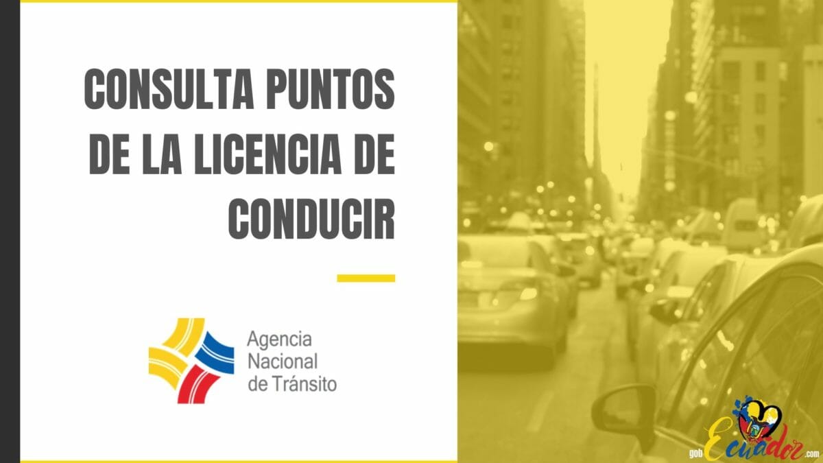 Aprende A Consultar Puntos De Licencia En Ecuador