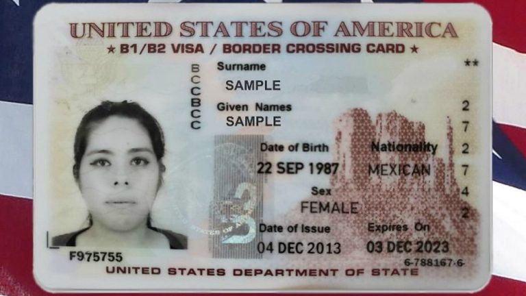 REQUISITOS PARA VIAJAR DENTRO DE ESTADOS UNIDOS