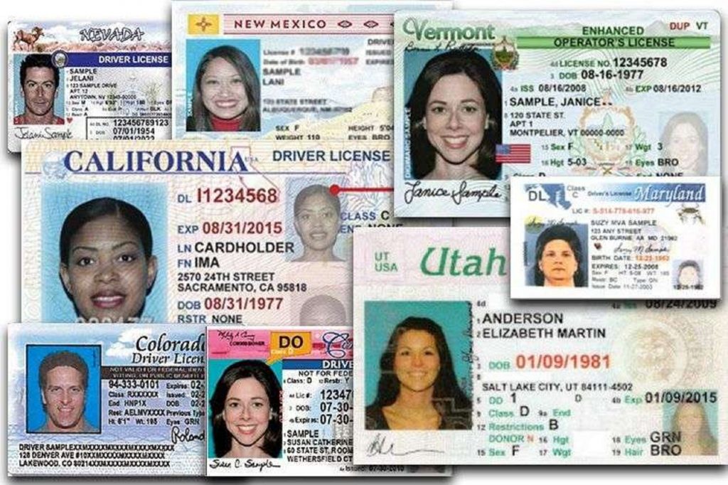 licencia de conducir EEUU