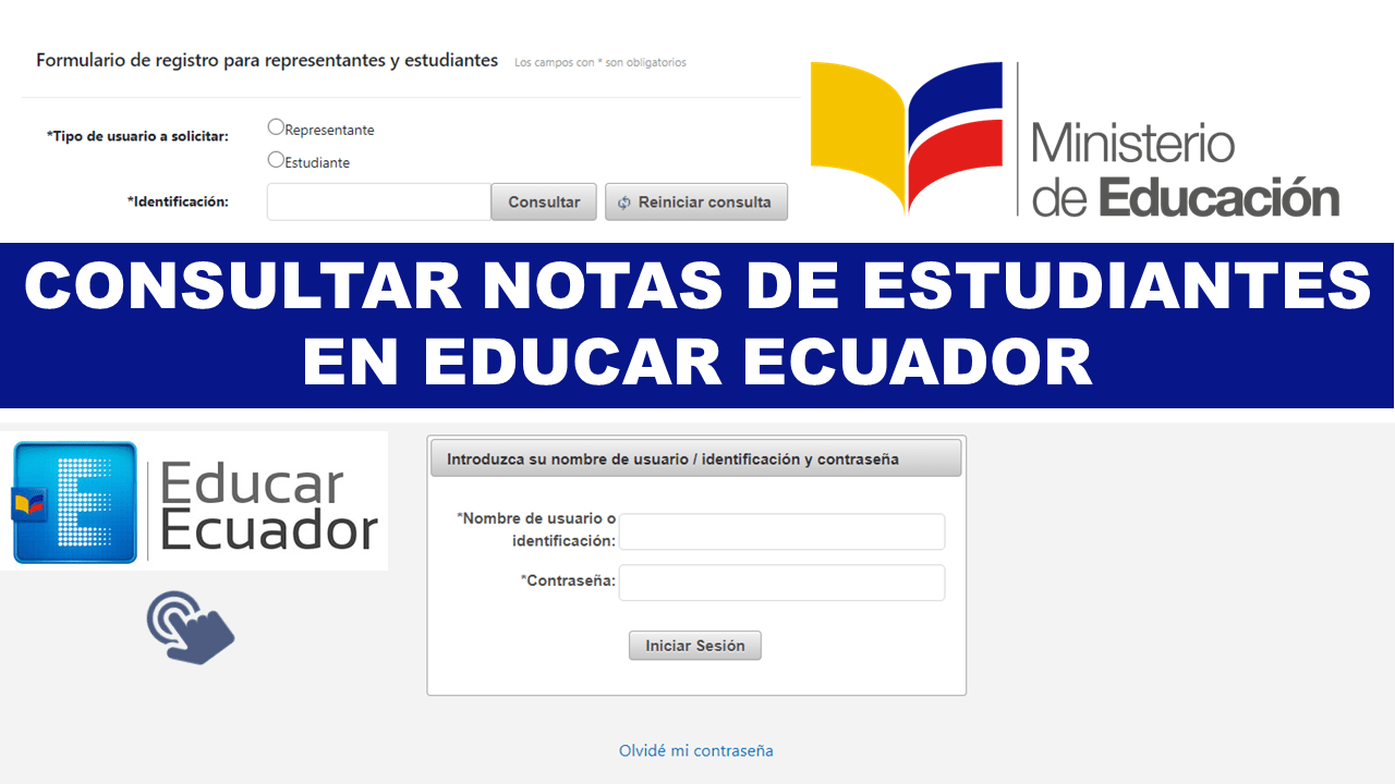 consulta de notas