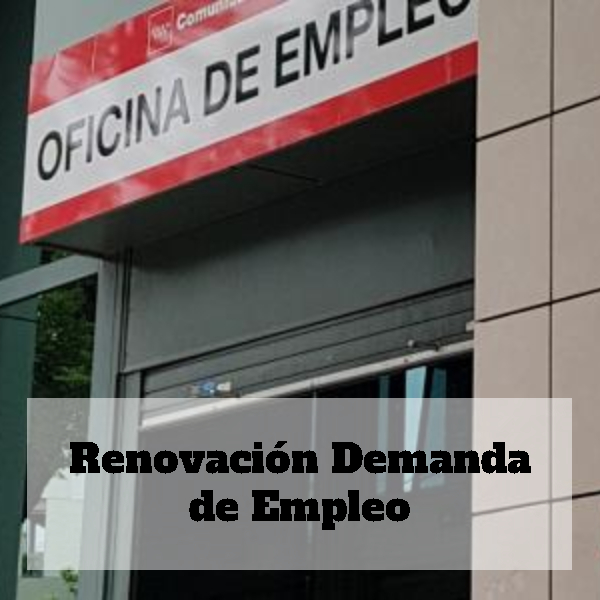 renovación-demanda-empleo-1